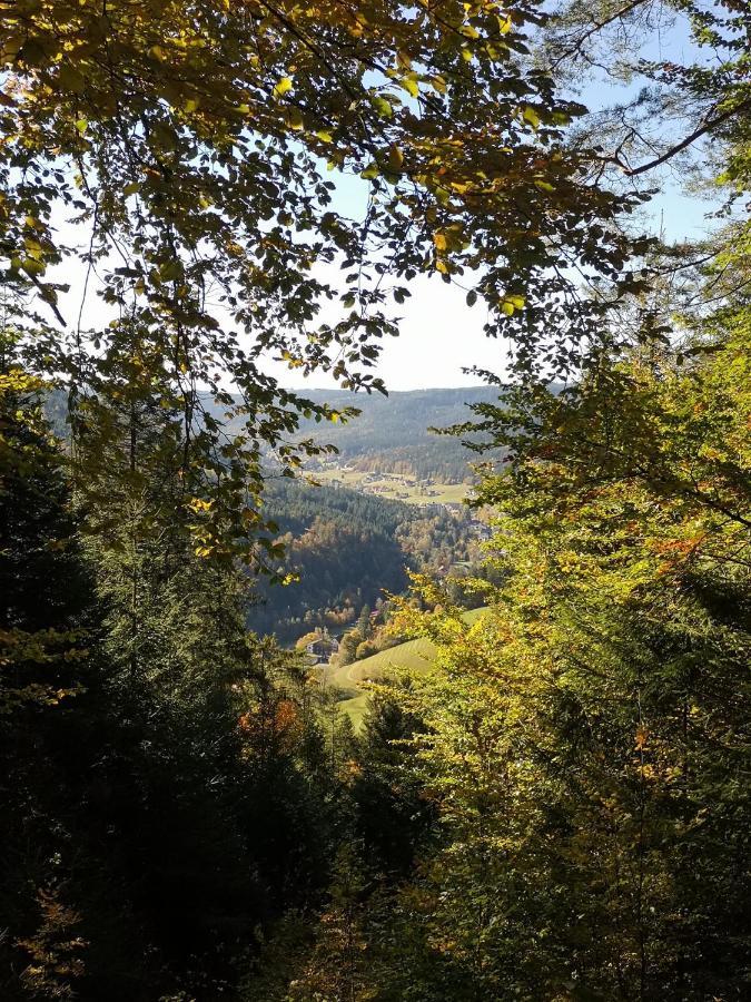 Obertal Altes Berghaus公寓 外观 照片