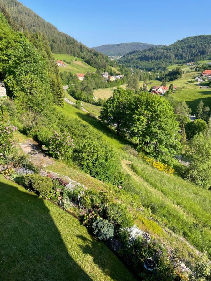 Obertal Altes Berghaus公寓 外观 照片