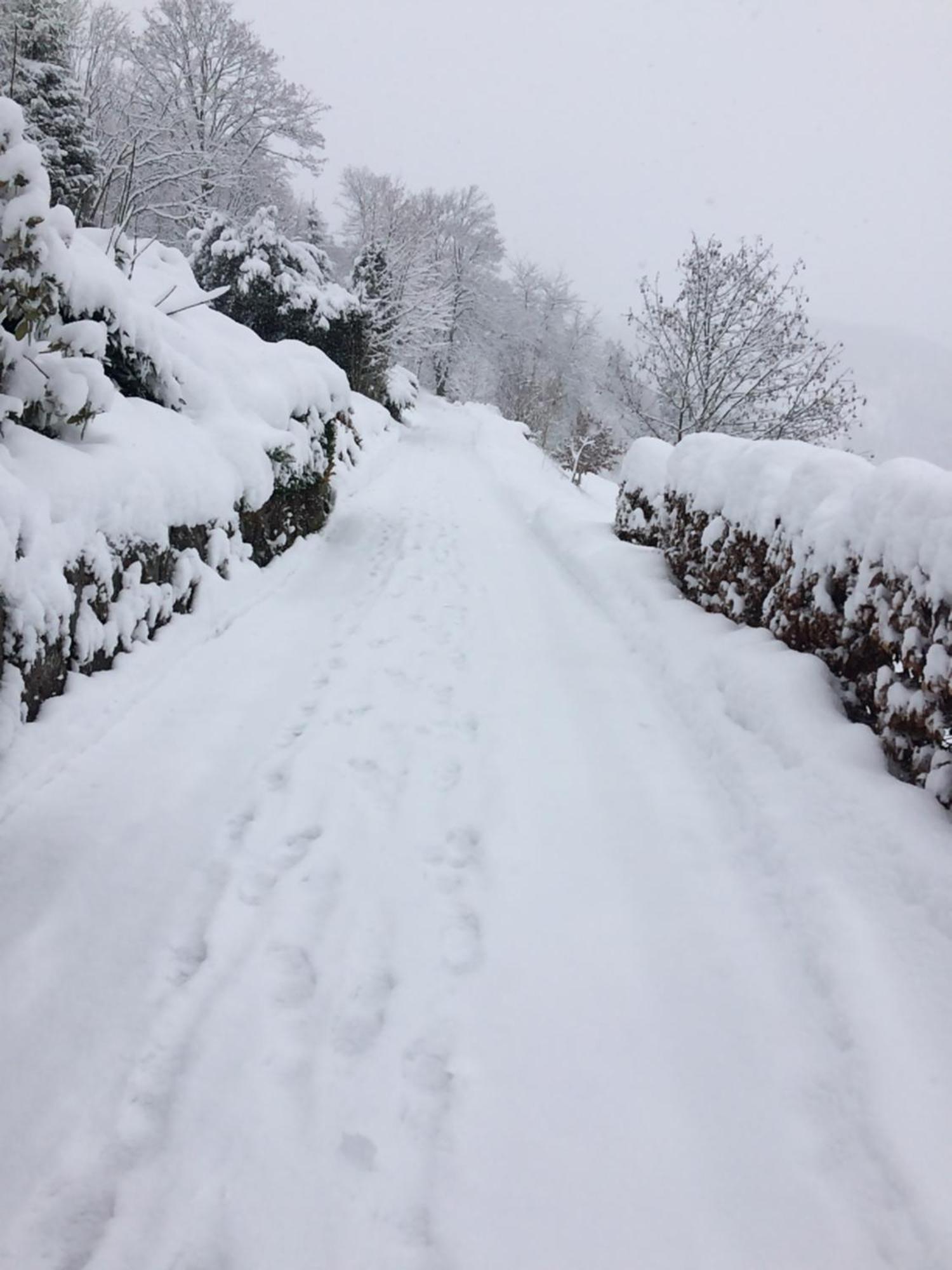 Obertal Altes Berghaus公寓 外观 照片